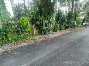 Dijual Tanah Lokasi Strategis di Kebumen Baturaden Luas 60 Ubin