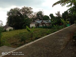 Jual Tanah Sawah di Karanggintung Lokasi Strategis Cocok Untuk Pertanian dan Juga Hunian