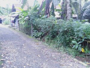 Jual Tanah Luas 35 Ubin di Baseh – Cocok untuk Hunian Sejuk & Nyaman