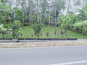 Dijual Tanah Strategis Di Baturaden – Jalan Raya Baturaden Barat