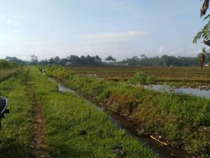 Dekat Stasiun dan Alun Alun Purwokerto Luas 4000 Meter