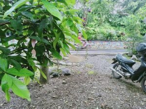 Dijual Tanah Strategis Dekat Alun-alun Purwokerto